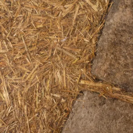 Chalet Panorama Res Motta San Guglielmo