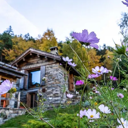 호텔 Chalet Panorama Res